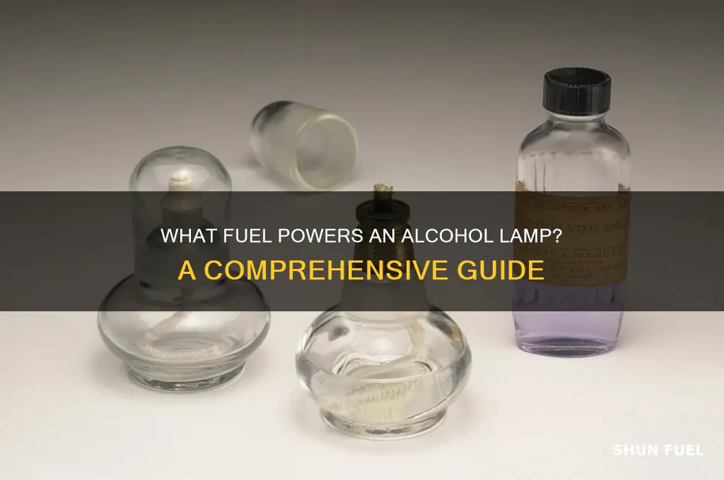 what fuel alcohol lamp