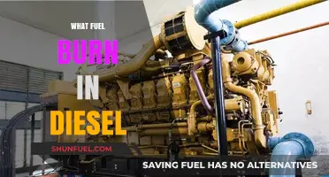 The Mystery of Diesel Engines: What Fuel Burns?