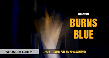 Blue Flames Explained: What Fuel Burns Blue and Why It Matters