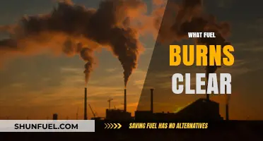 Clean Burning Fuels: Discovering the Clearest Options for a Greener Future