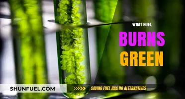 Eco-Friendly Energy: Discovering the Greenest Burning Fuel Options