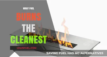 Exploring the Cleanest Burning Fuel Options for a Greener Future