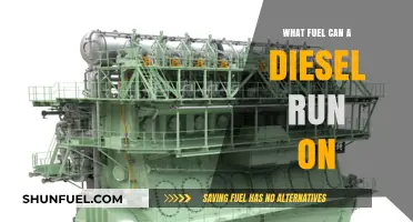 Exploring Diesel Engine Flexibility: Fuel Options