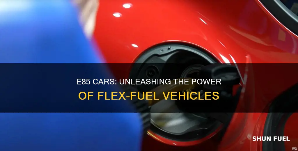 what fuel can an e85 car use