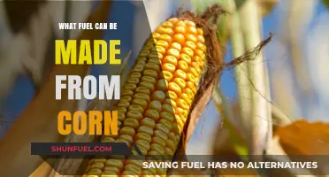 Corn-Based Biofuels: Unlocking Sustainable Energy from America's Crops