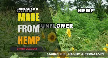 Hemp's Green Energy Potential: Exploring Sustainable Fuel Alternatives