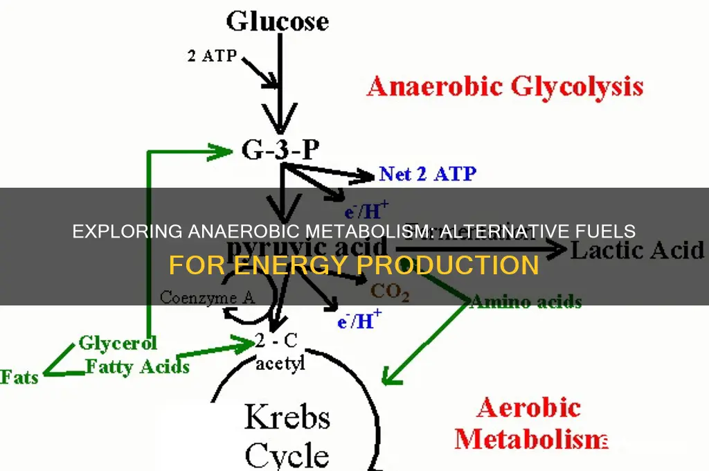what fuel can be used anaerobic metabolism