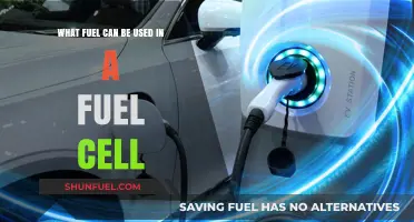 Exploring Fuel Cell Options: Hydrogen, Methanol, and Beyond
