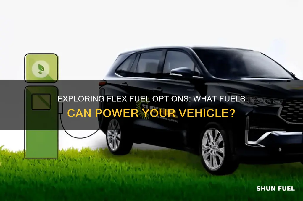 what fuel can be used in flex fuel
