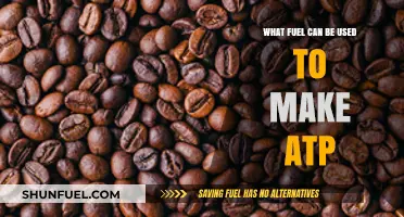 Unlocking ATP Production: Exploring Diverse Fuel Sources for Cellular Energy