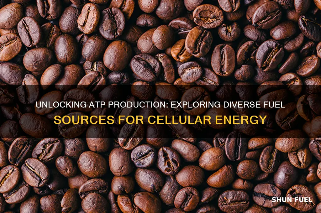 what fuel can be used to make atp
