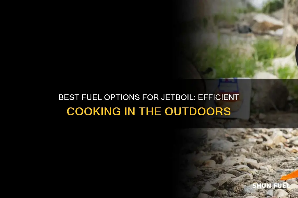 what fuel can be used with jetboil
