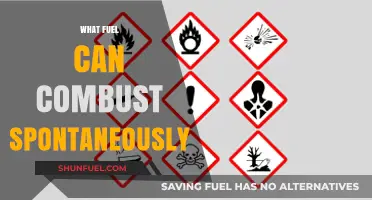 Spontaneous Combustion: Which Fuels Ignite Without an External Flame?