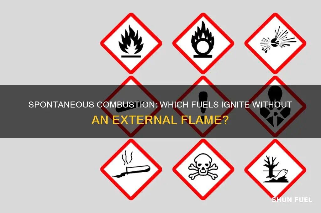 what fuel can combust spontaneously