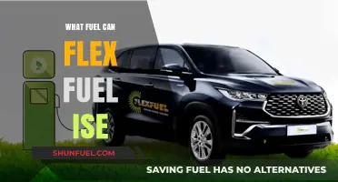 Exploring Flex Fuel Options: What Fuels Can Flex Fuel Vehicles Use?