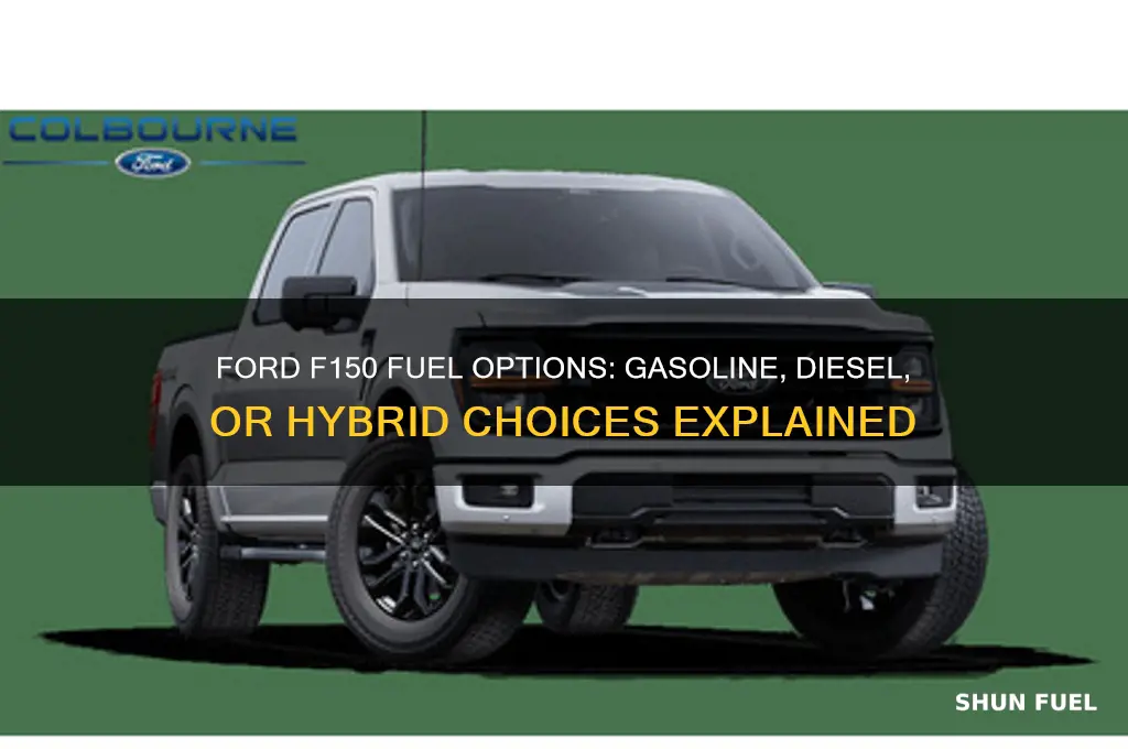 what fuel can ford f150 take