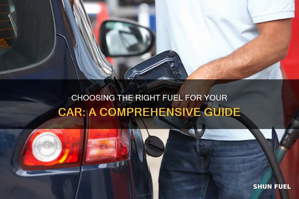 what fuel can i use in my car
