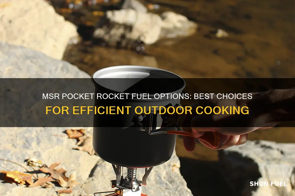 what fuel can i use with my msr pocket rocket