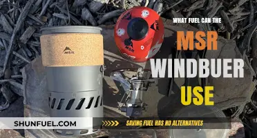 MSR WindBurner Fuel Options: What Can You Use?