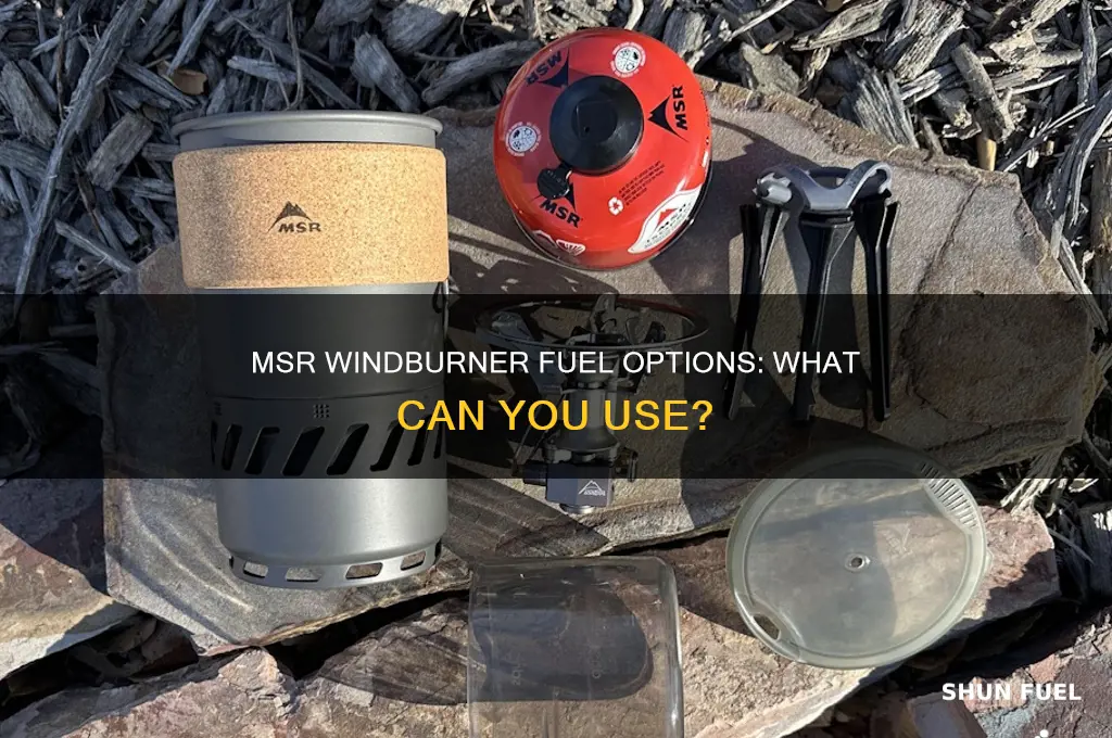 what fuel can the msr windbuer use