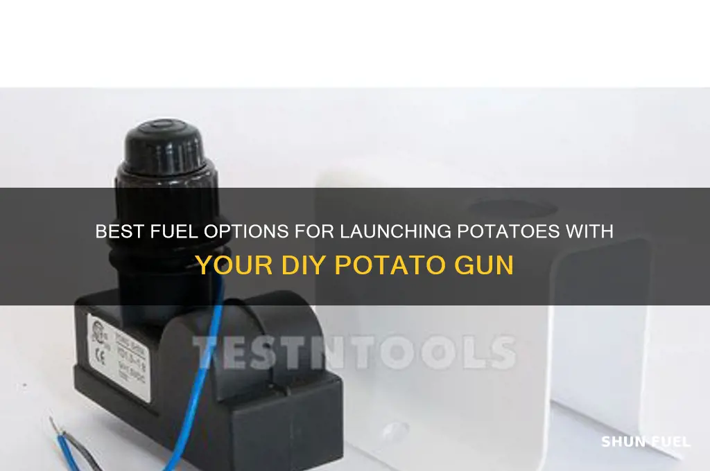 what fuel can u use for a potato gun