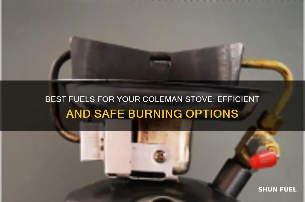 what fuel can you burn in a colemanstove