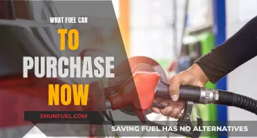 The Best Fuel-Efficient Cars to Buy Now