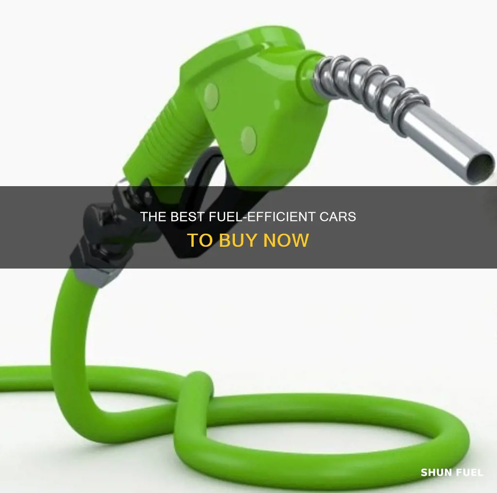 what fuel car to purchase now