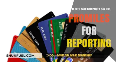 How Fuel Card Companies Leverage ProMiles for Enhanced Reporting