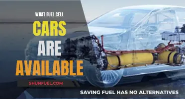 Fuel Cell Cars: What's Available Now?
