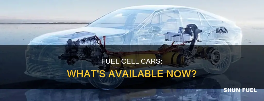what fuel cell cars are available