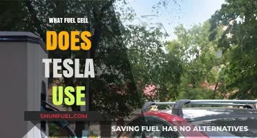 Tesla's Fuel Cell Technology: Unveiling the Power Source Behind the Brand