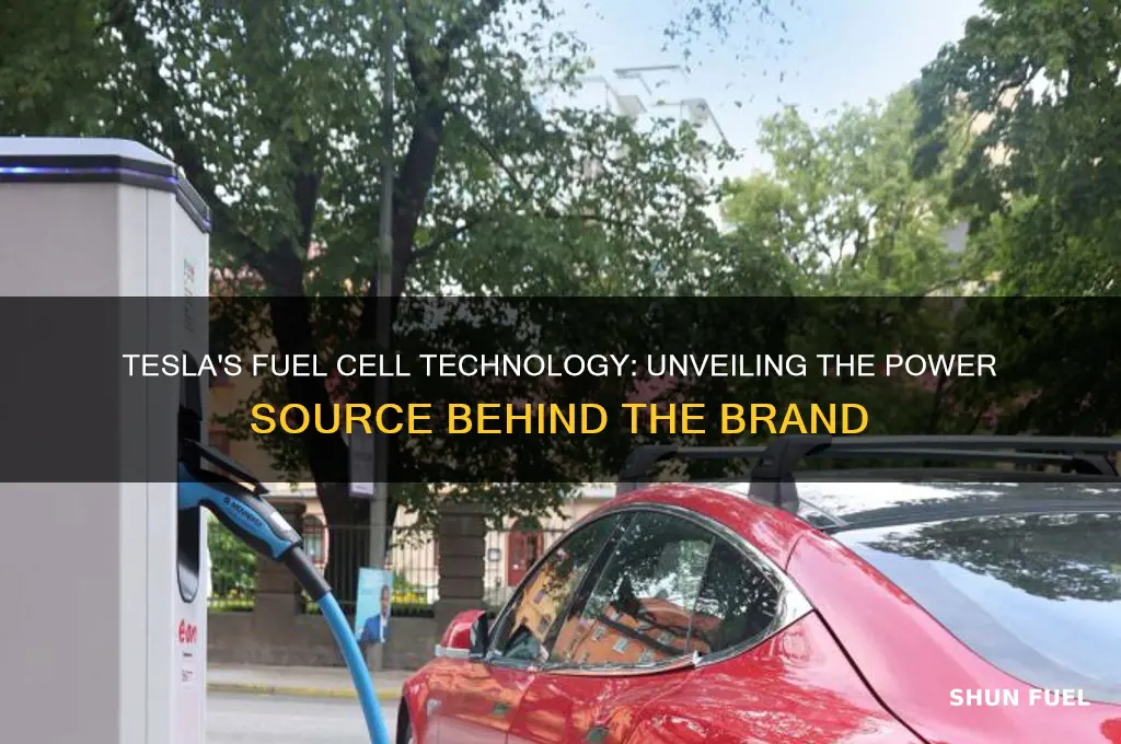 what fuel cell does tesla use