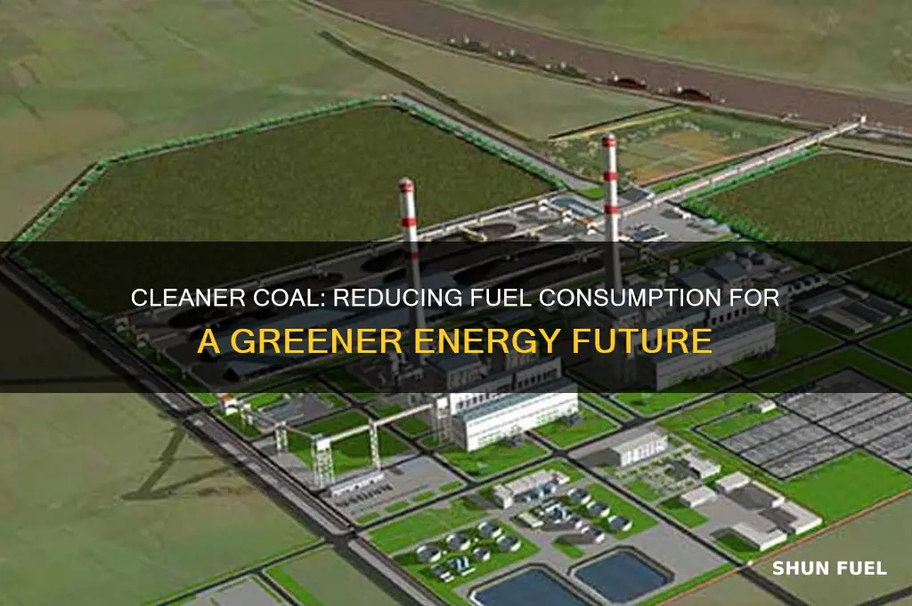 what fuel consumption cleaner coal