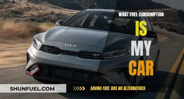 Fuel Efficiency: Understanding Your Car's Consumption