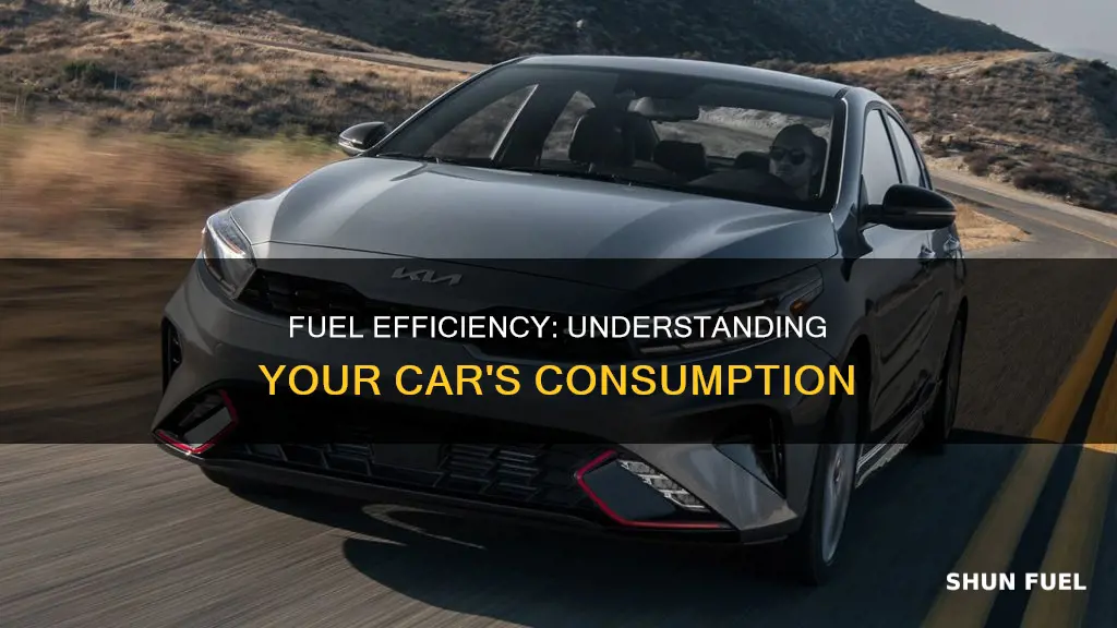 what fuel consumption is my car