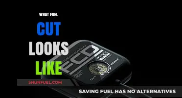 Understanding Fuel Cut: Visual Signs and Effects on Your Engine