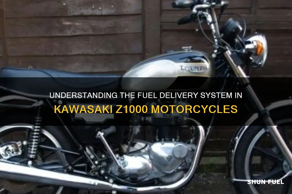 what fuel delivery does z1000 use