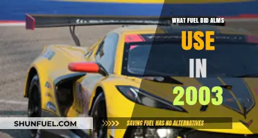 Exploring the Fuel Choices of ALMS Racing in 2003