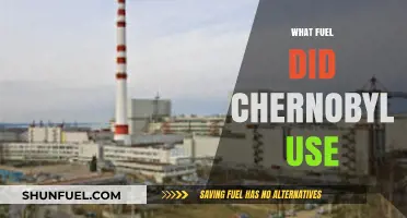 Chernobyl's Nuclear Fuel: Understanding the RBMK Reactor's Graphite-Moderated Design