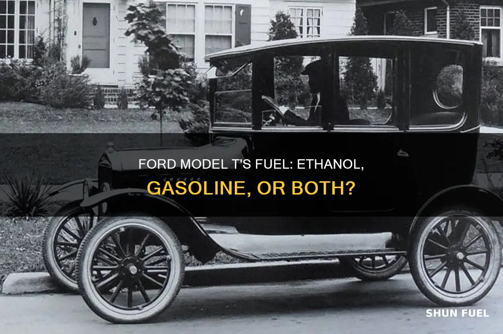 what fuel did ford use in the original model t