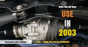 IMSA's 2003 Fuel Choice: Unveiling the Power Behind the Races