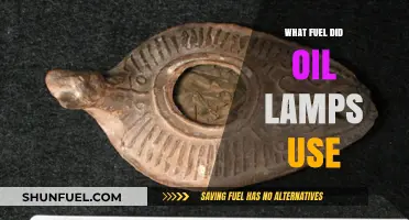 Exploring Ancient Lighting: What Fuel Powered Traditional Oil Lamps?