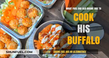 Old Boone's Buffalo Cooking Fuel: Uncovering His Ancient Culinary Secrets