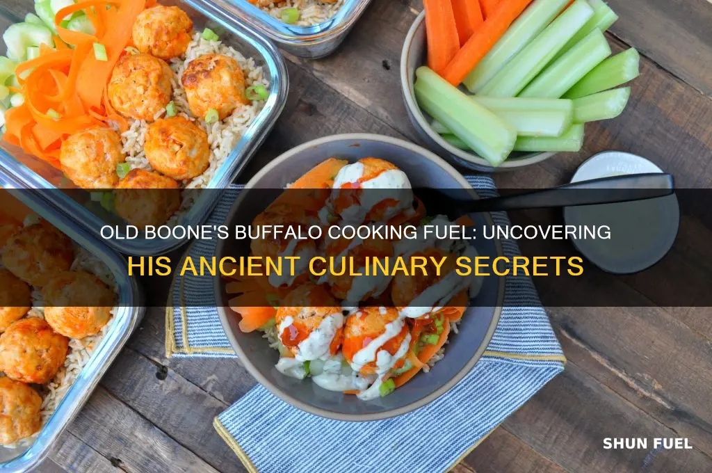 what fuel did old boone use to cook his buffalo