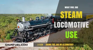 Steam Locomotives: Uncovering the Primary Fuel Sources That Powered Trains