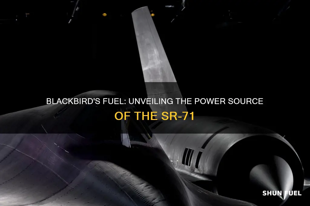 what fuel did the blackbird use