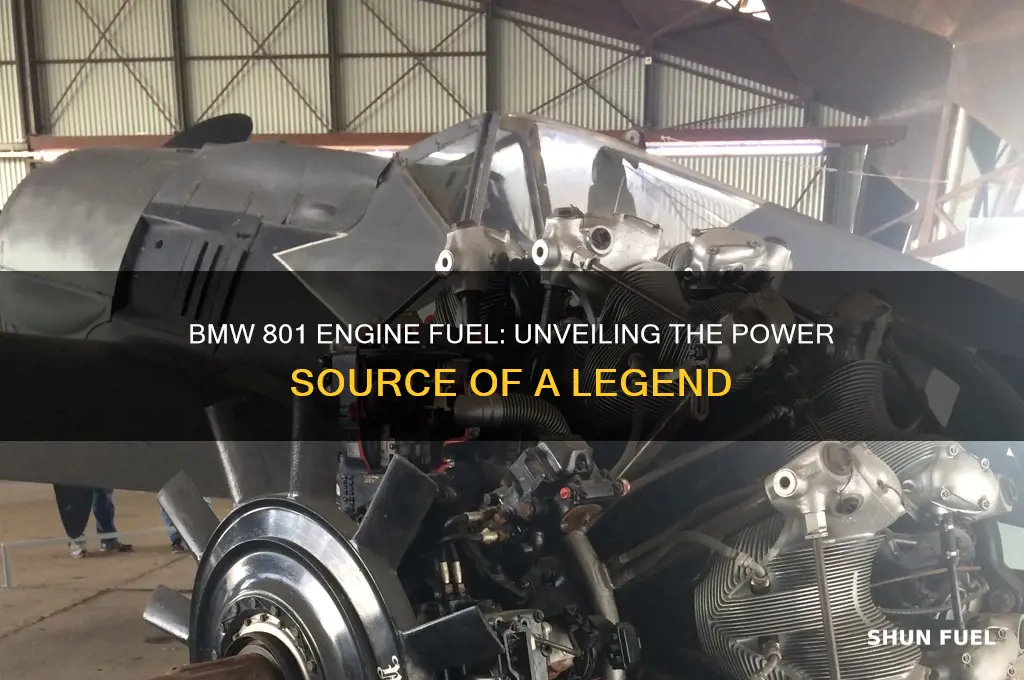 what fuel did the bmw 801 engine use