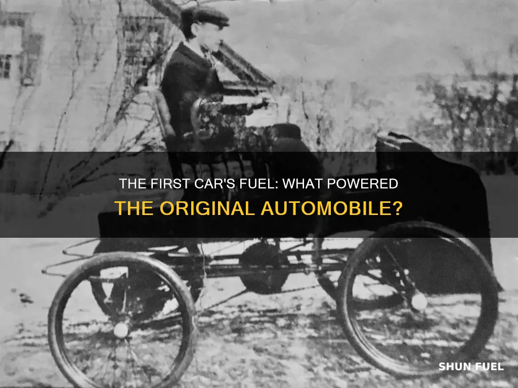 what fuel did the first car run on