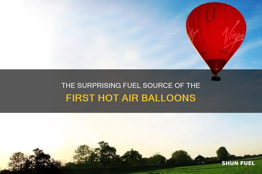 what fuel did the first hot air balloons use